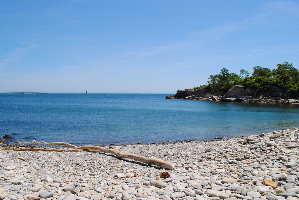 Driftwood on the rocky beach area, Fort Williams Park