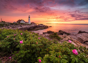 Beach Rose Sunrise - Photo by: Benjamin Williamson