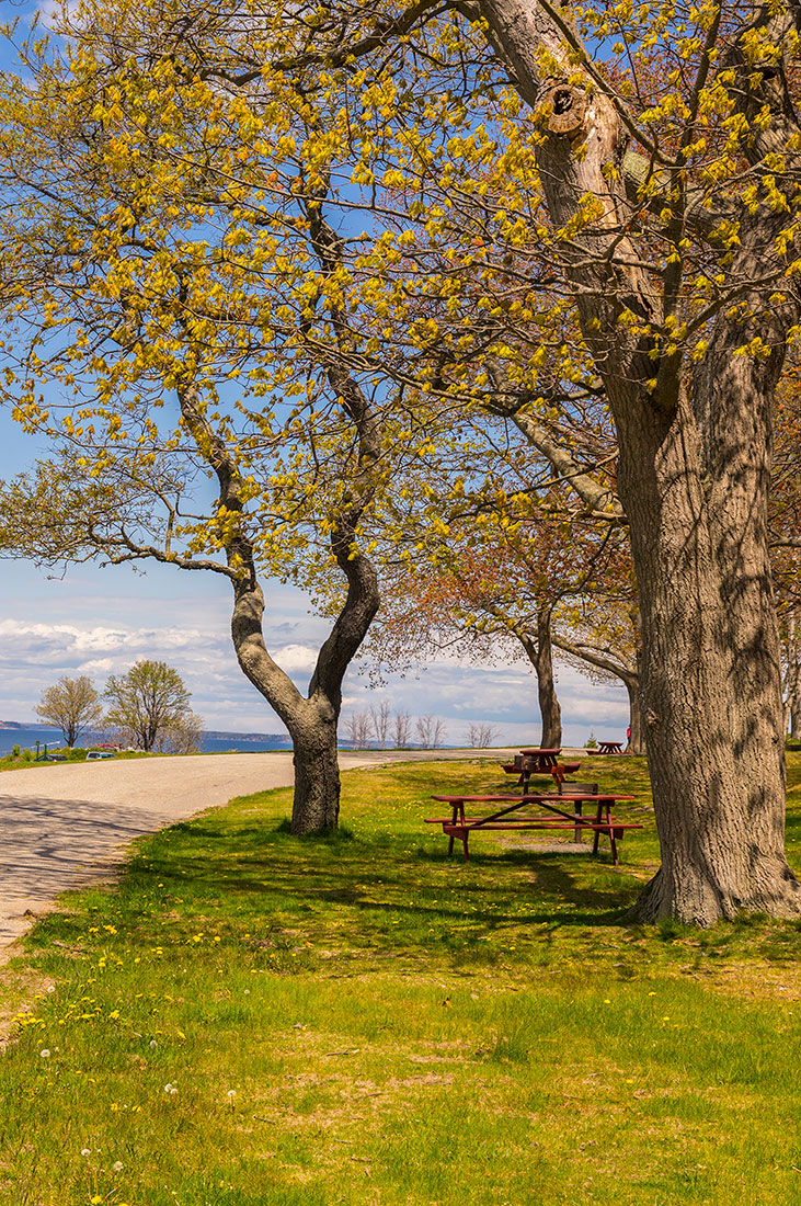 Picnic benches at Fort Williams Park - Photo by: Cindy Farr-Weinfeld